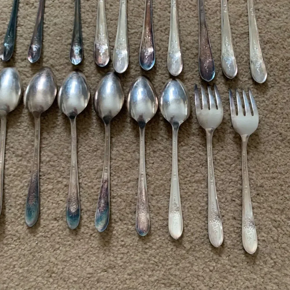 Wm Rogers Mfg. Co. Extra Plate IS TRIUMPH 40 Piece Flatware Set